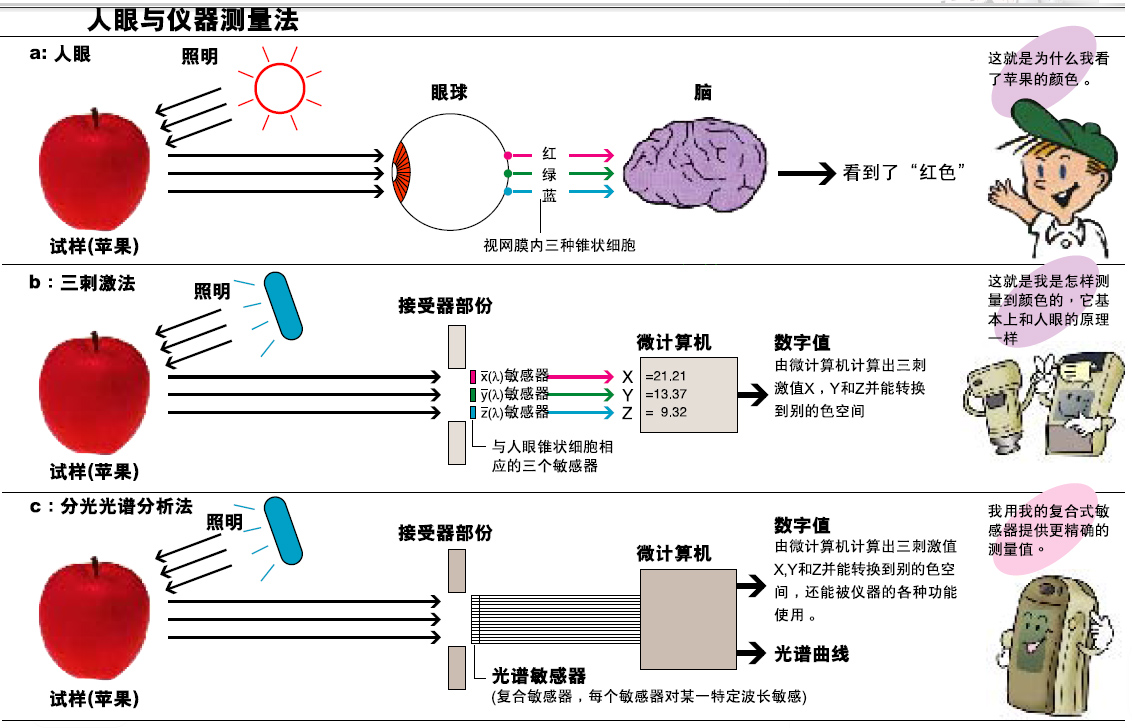 青青草在线播放的分光型與三刺激值型哪個更好？