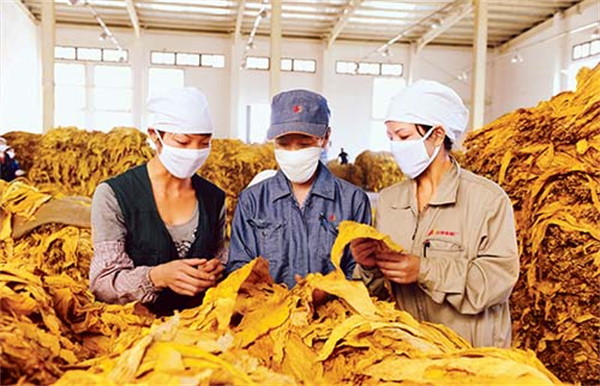 煙葉分級燈箱的色溫和顯色指數是多少？
